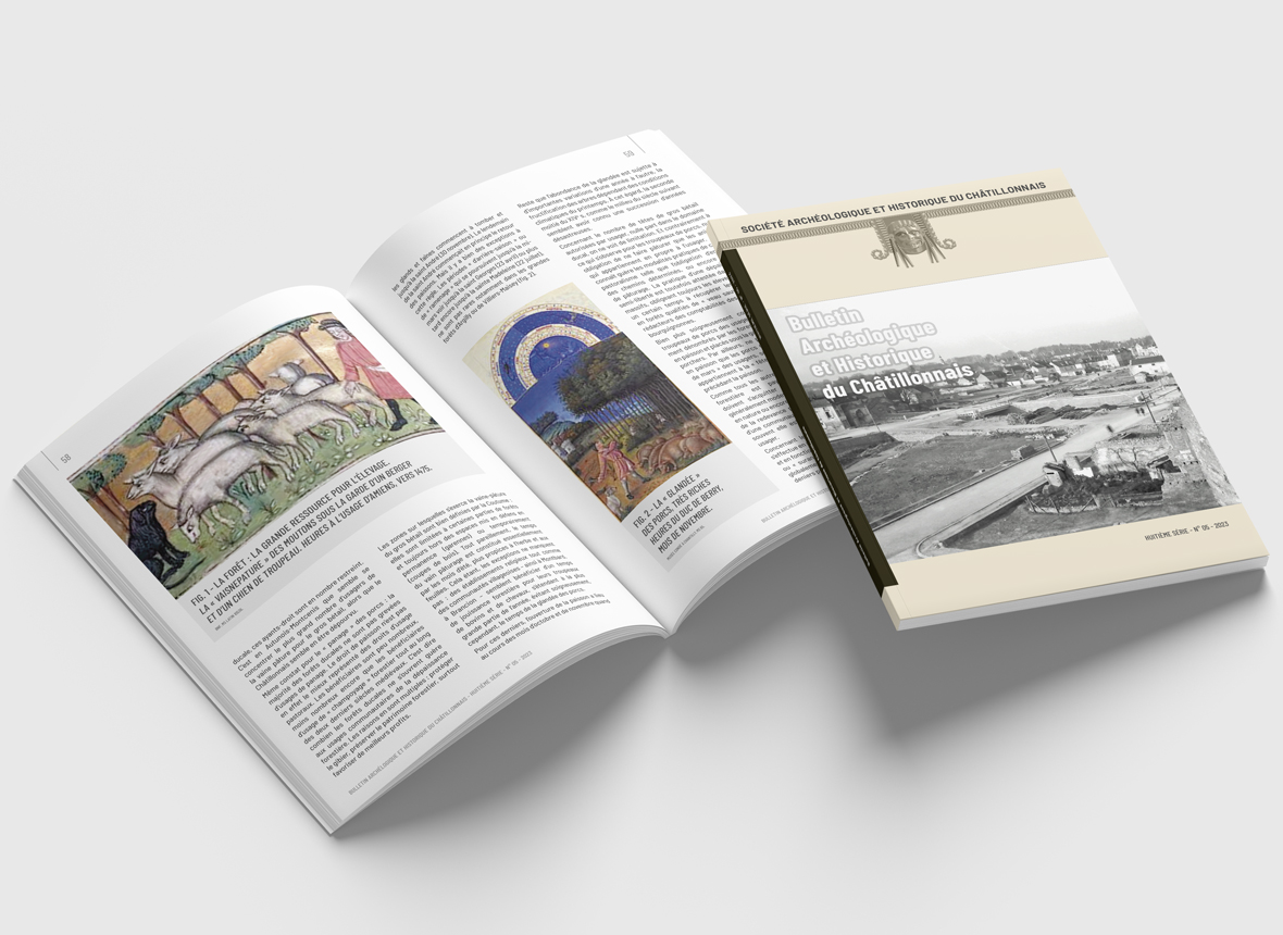 BULLETIN HISTORIQUE